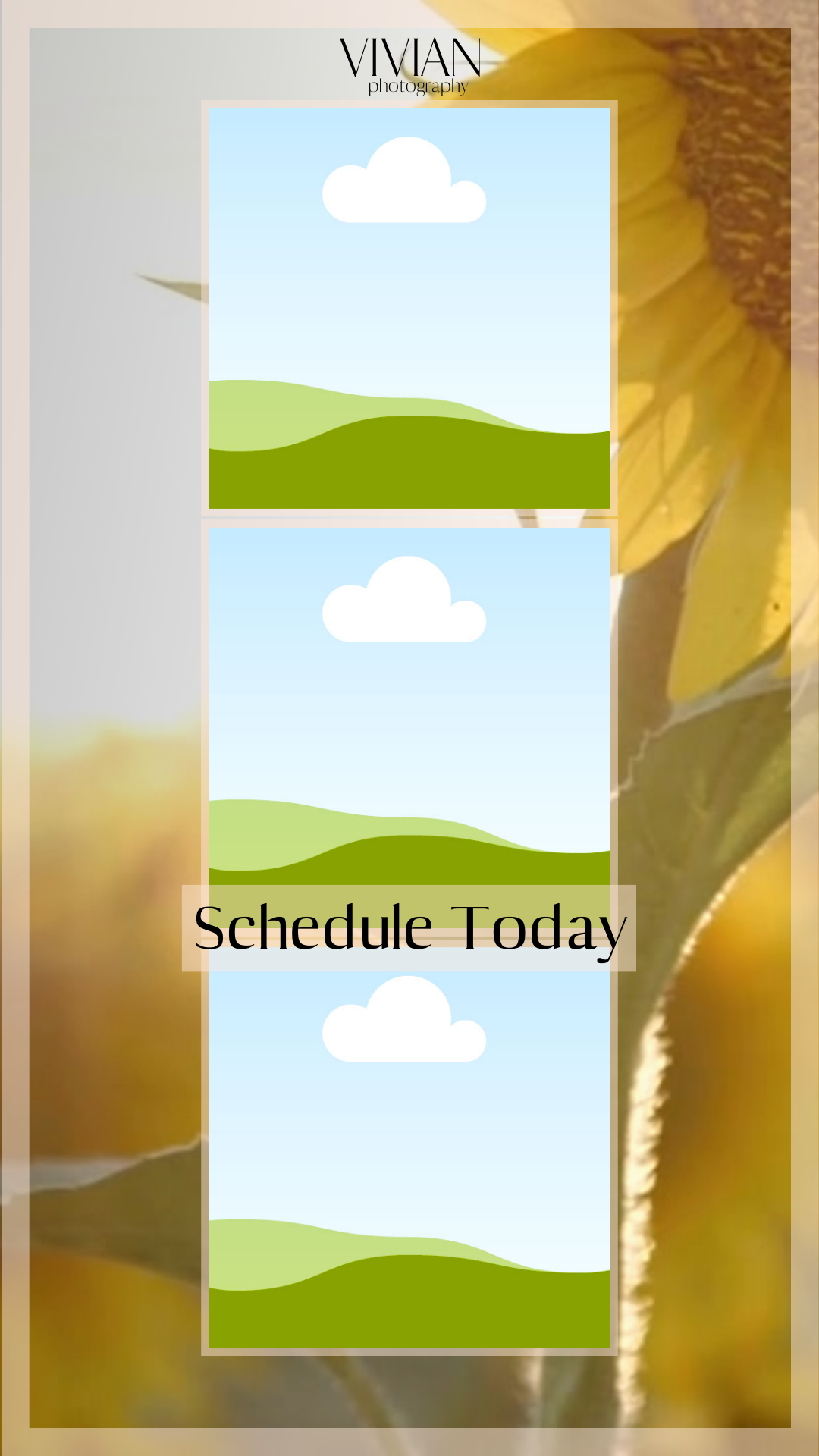 Sunflower Profile: Schedule Today